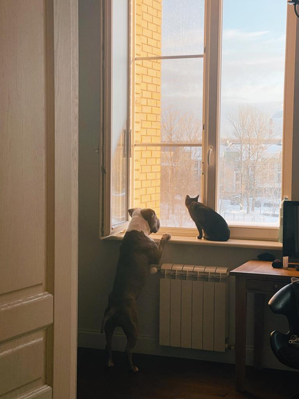 13FDE586-6017-4498-AE1D-CFA6C7FD61BF