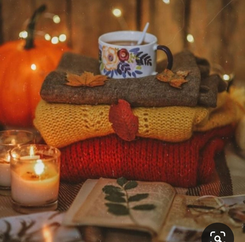 Screenshot_20231015_205406_Pinterest