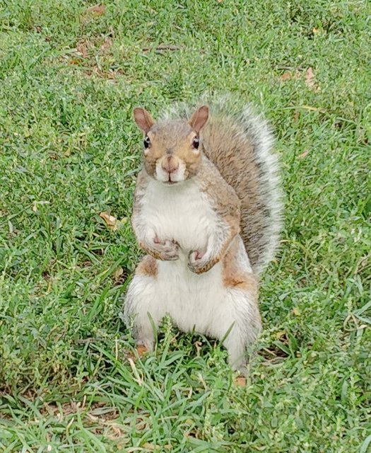 Pateamos Boston: Freedom Trail, Cheers, Mercadillos etc - Boston y Chicago (22)