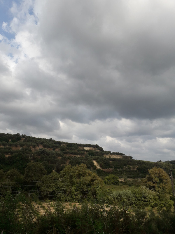 20190913-103807.jpg