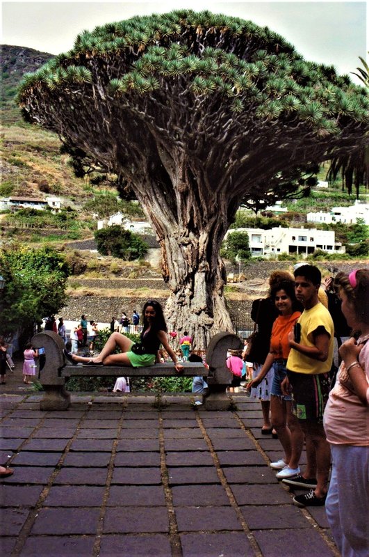 La Orotava-Garachico-Icod de los vinos-Julio-1991 - Islas Canarias y sus pueblos-1991/2025 (5)