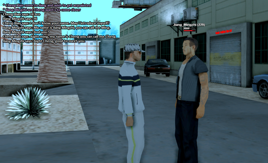 SS1.png