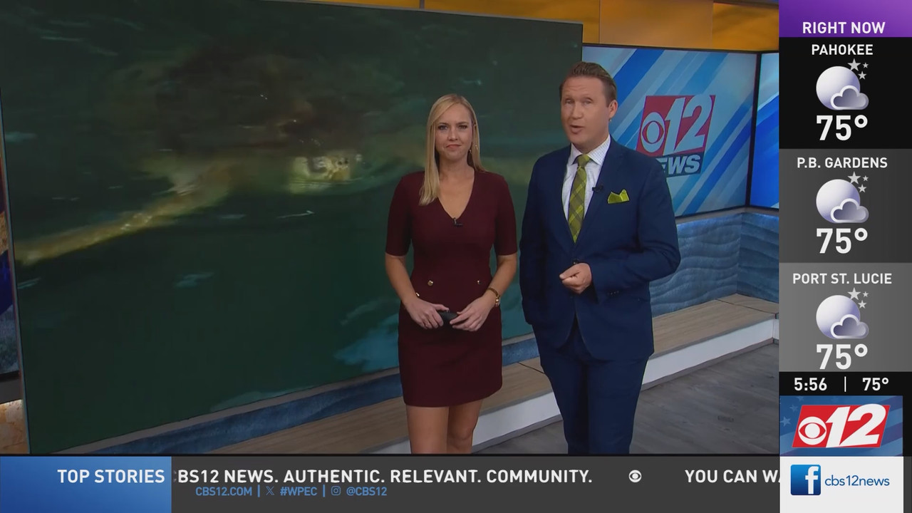 CBS12 News This Morning at 5AM 20251125 10001030 ts snapshot 57 23 118