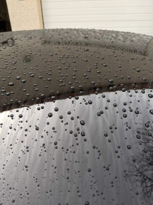 CAADFFBF-0A15-401E-AB83-F789D46BA9E2