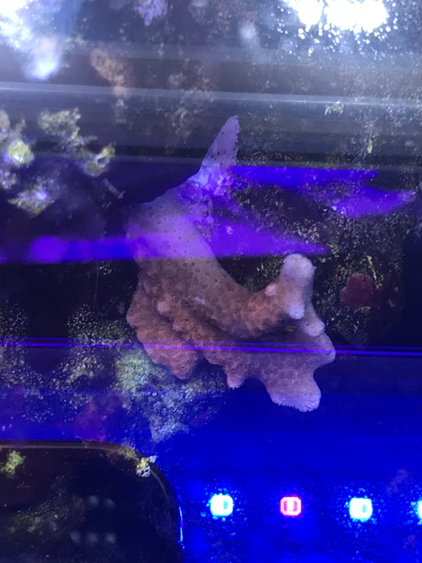 0EFB65FD-28F7-4559-8166-128FA4E03921