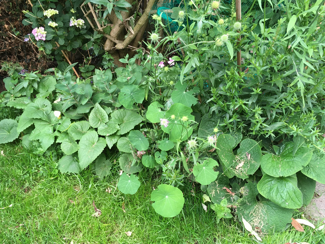 4B01B253-BB2F-4F7B-BD45-58467ED4C3E2