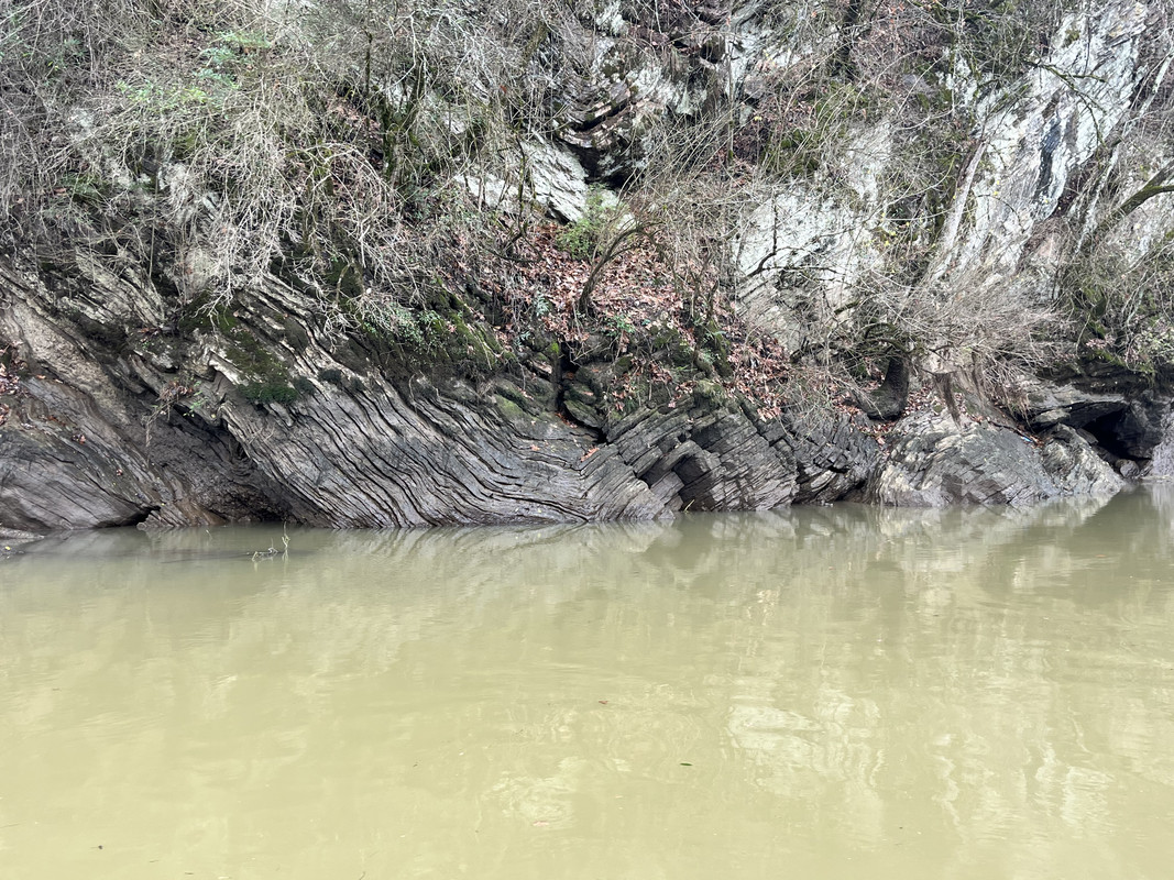 IMG-0165.jpg