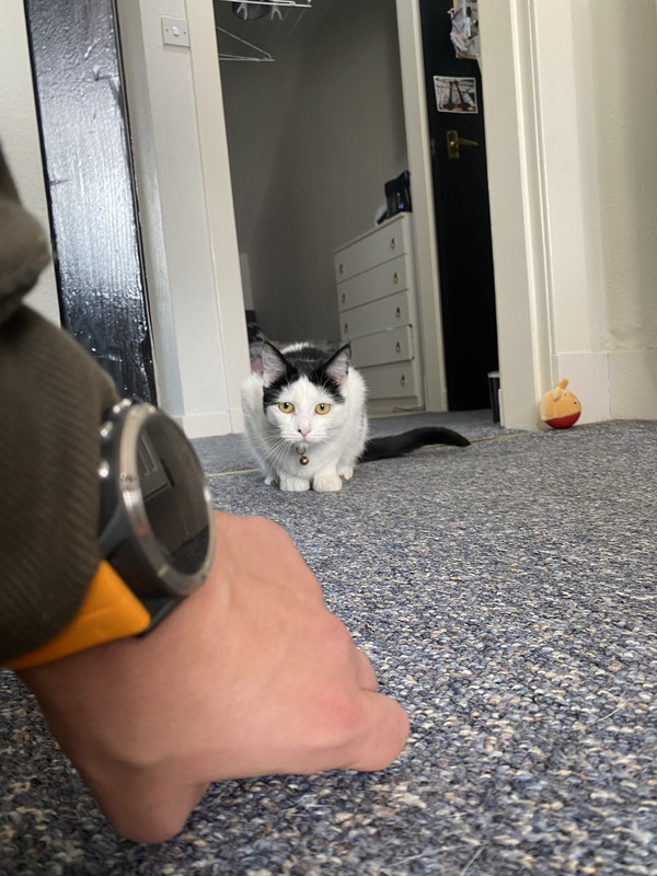 80E5AB1A-28E5-4DE9-B199-FE131F412023