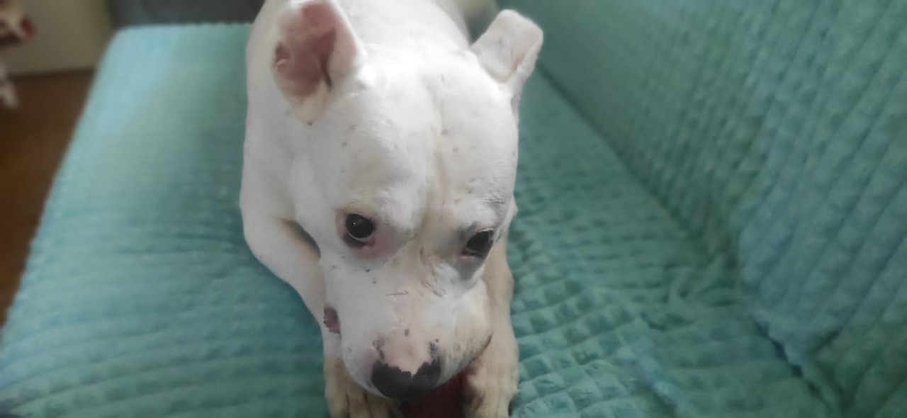 4EC10CFA-2B1D-4159-9A44-52BA161438FD