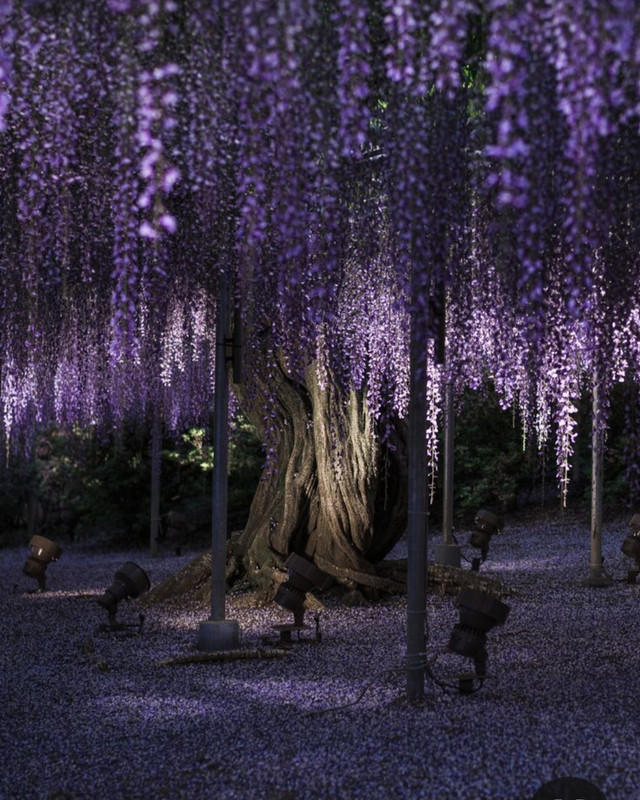 Screenshot_20230904_234027_Pinterest