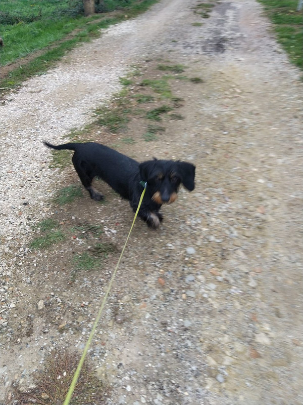 [Image: image000001-4.jpg]