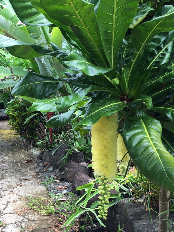 CE441021-5F96-4FCB-97B5-6C6D029A9D3B