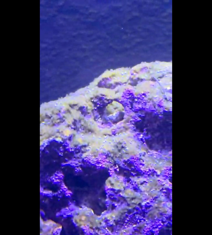 Screenshot 20251206 124943 Whats App