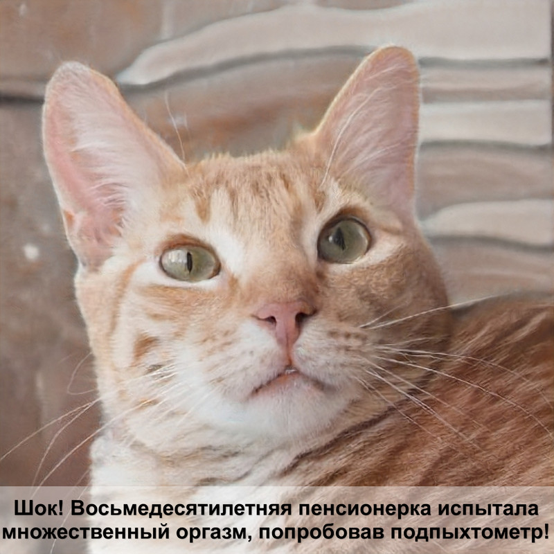 какая самая большая кошка в мире