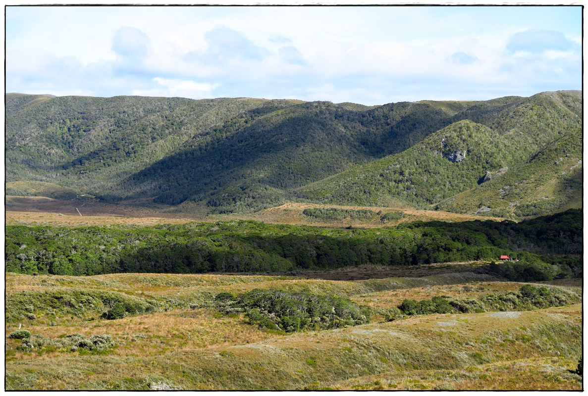 Kahurangi NP: Heaphy Track (Navidad 2020, III) - Escapadas y rutas por la Nueva Zelanda menos conocida (17)