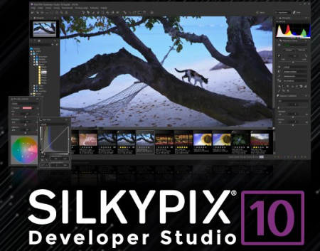 SILKYPIX Developer Studio 10.1.11.0