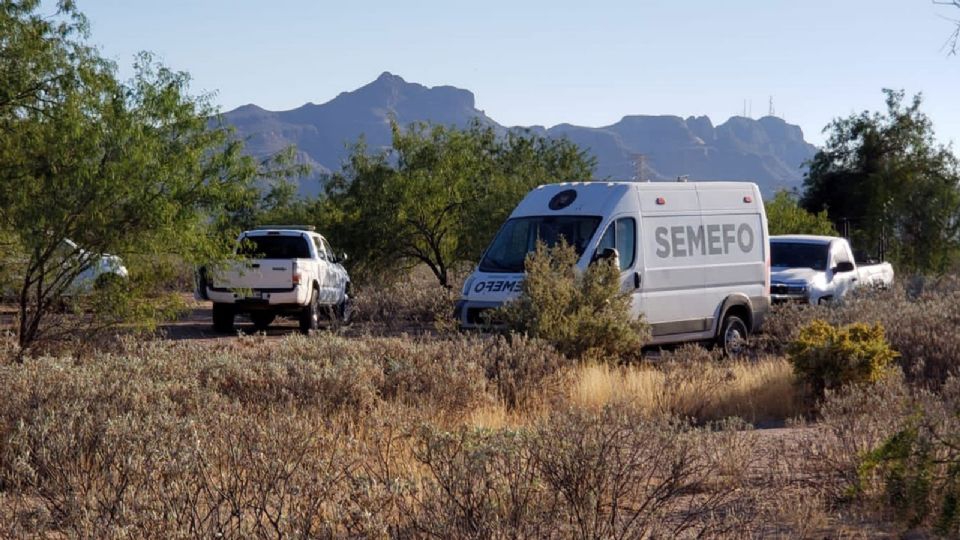 Tenía 18 años: Identifican el cadáver encontrado 'embolsado' en el Valle del Yaqui