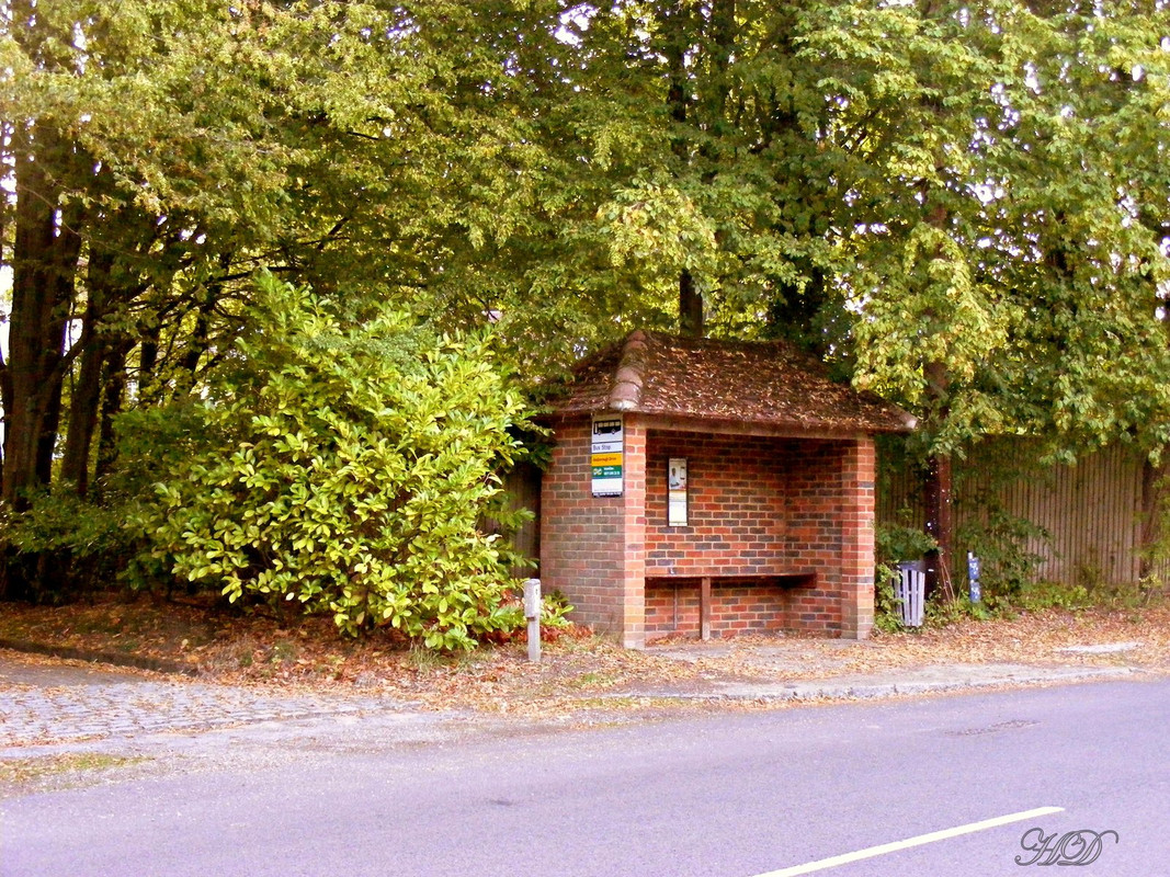 Bushelter-brick-HD.jpg
