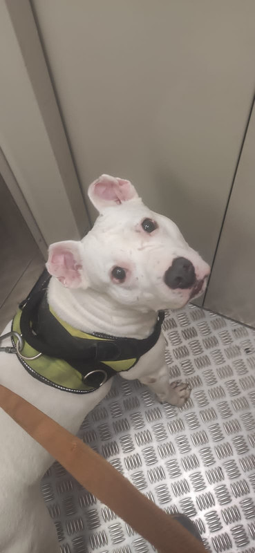 3F2EE477-3A8B-4DBB-901C-A671E5329065