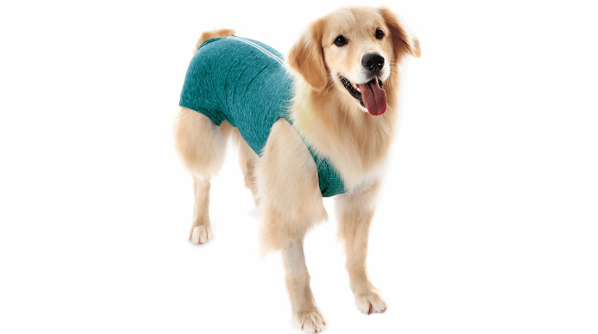 Produto FS Moda Pet 1