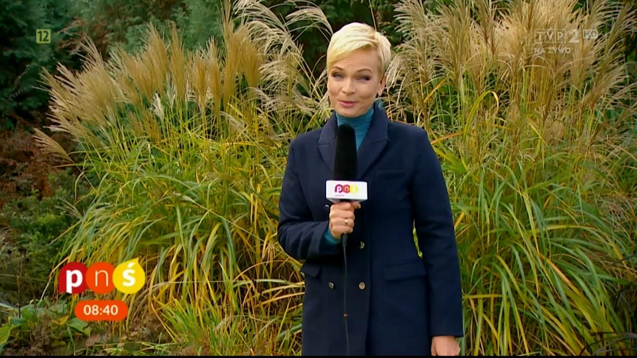 V0323_20181109_082538.mp4_snapshot_04.18_[2018.11.16_17.38.00]