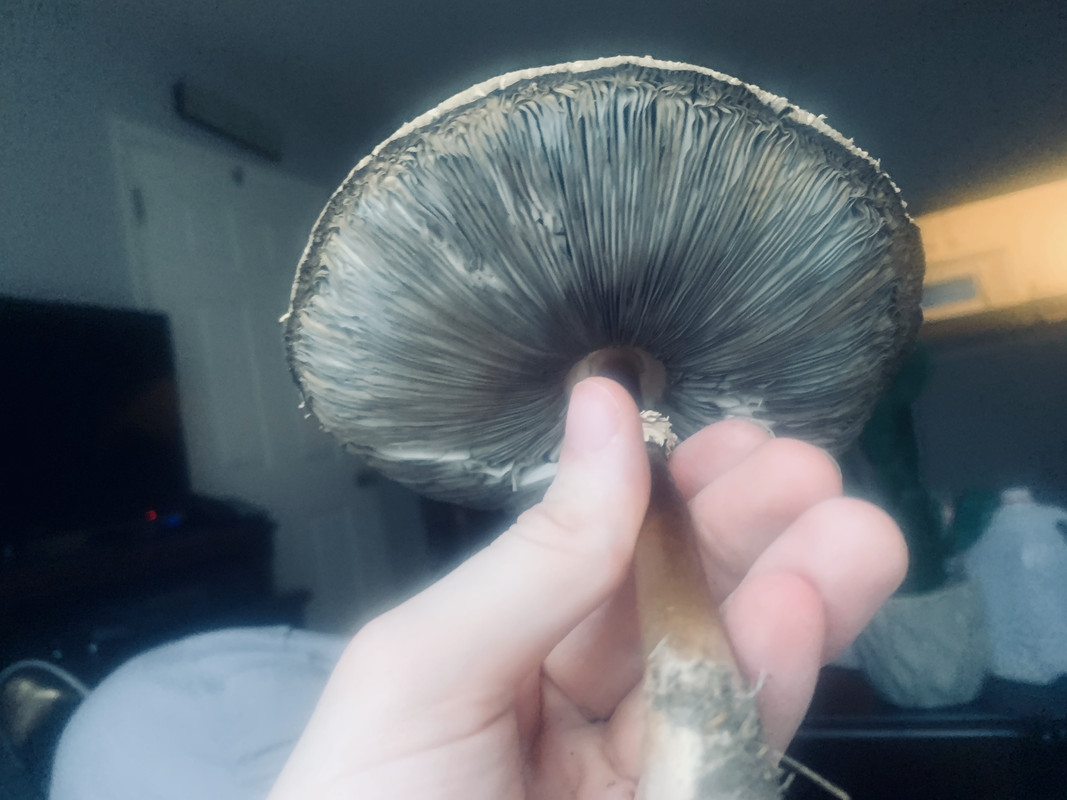 91E04A3D-560C-4C91-A30C-189E72622724