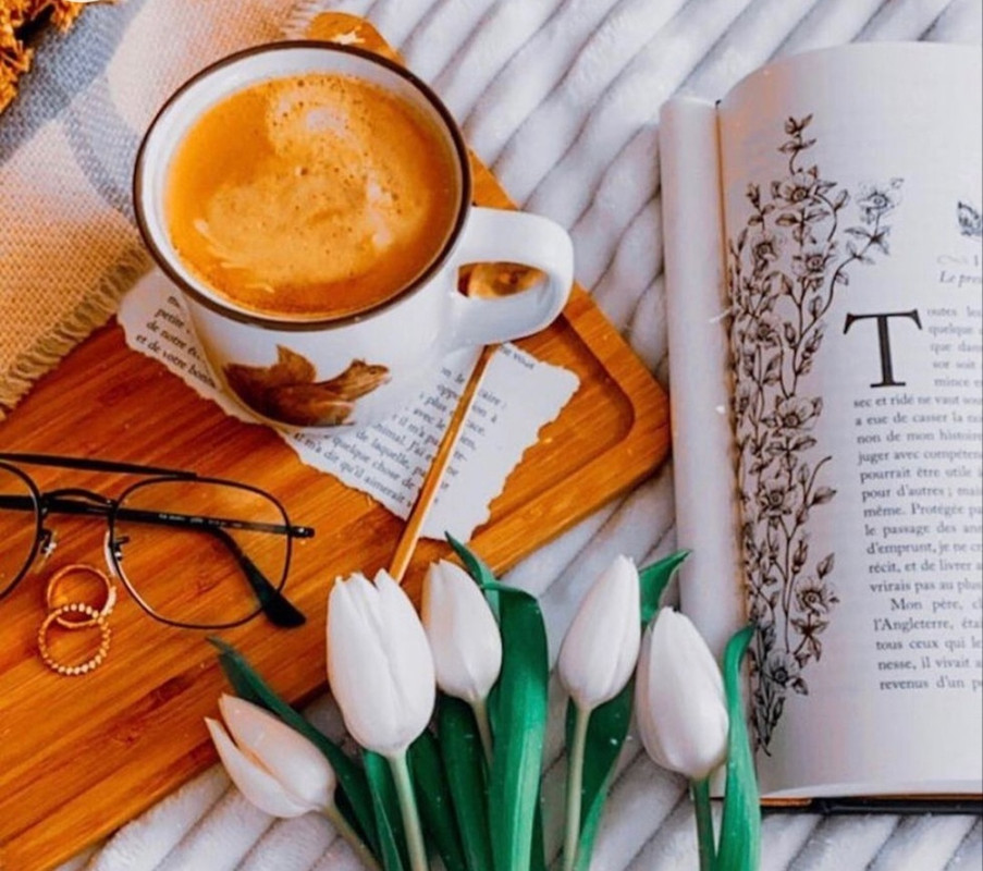 Screenshot_20221213-235727_Chrome