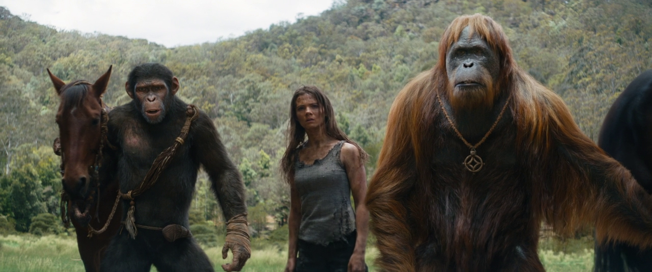 vlcsnap-2024-10-03-09h47m08s731