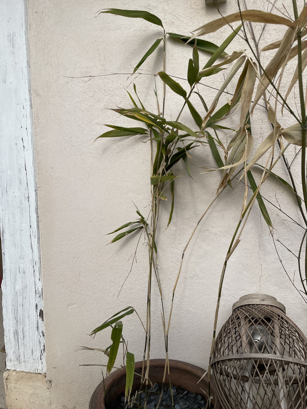 2EC2747E-0958-4EB9-A618-84E65F257AE1