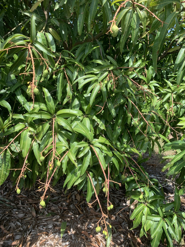 9F4F9FE6-8F00-479A-970E-5ABCC7B04A04