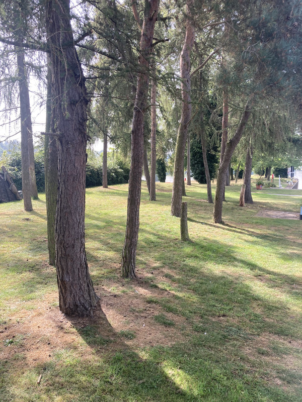 2BFD2648-F029-4790-9AEF-8133DA01D1A8