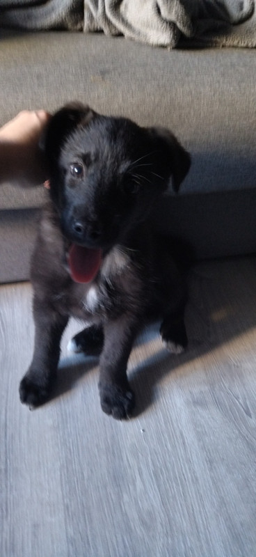 BE6CFEE3-A2A2-45CF-B687-7684A722677C