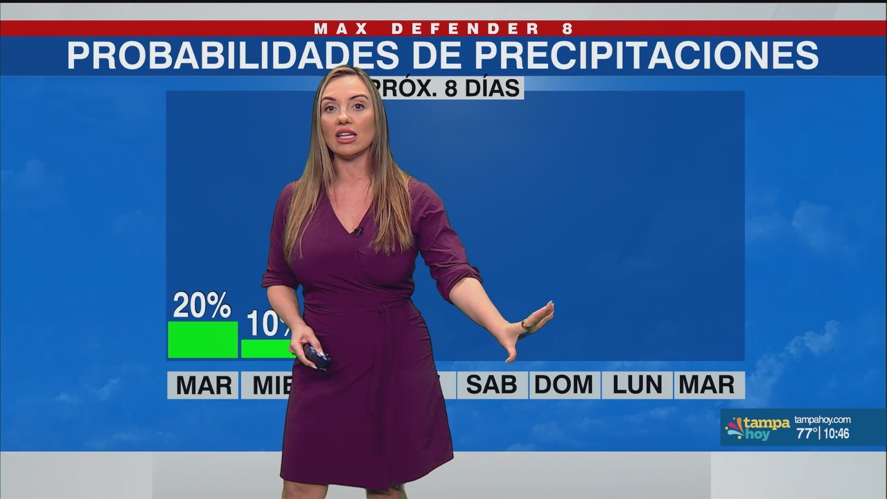 Noticias Tampa Hoy_20250513_03300400.ts_snapshot_17.09.311