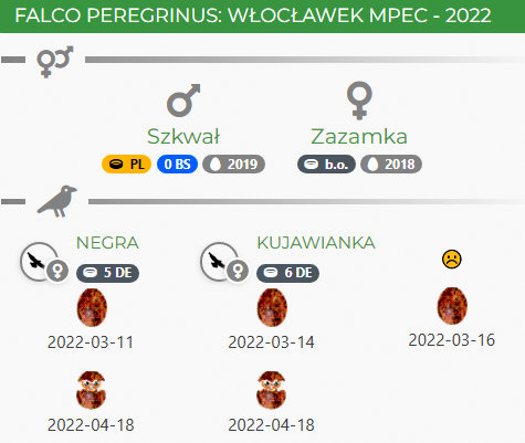 WŁOCŁAWEK MPEC - Pagina 2 Przechwytywanie-w-trybie-pe-noekranowym-11-05-2022-171311