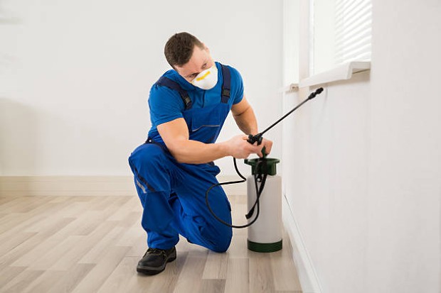 Pest-Control-3.jpg