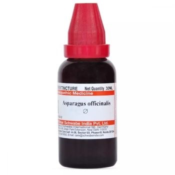Willmar Schwabe India Asparagus officinalis 1X (Q) (30ml)