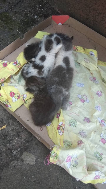 F8CA3347-536D-4BC4-BF87-BB7271D0A4AA