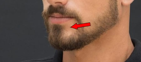 beard1.jpg