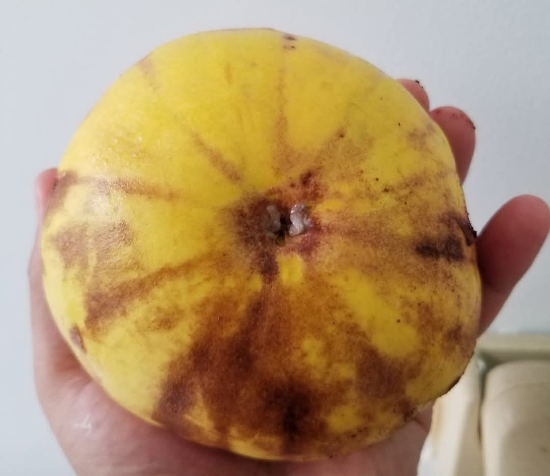 Screenshot 20251221 012053 Facebook