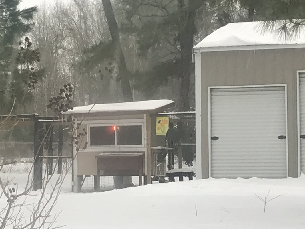 C24547CF-DA8A-4228-88C5-A00F5552685C