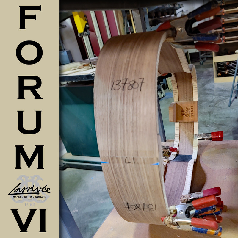 Larrive-Fourm-VI-5.jpg