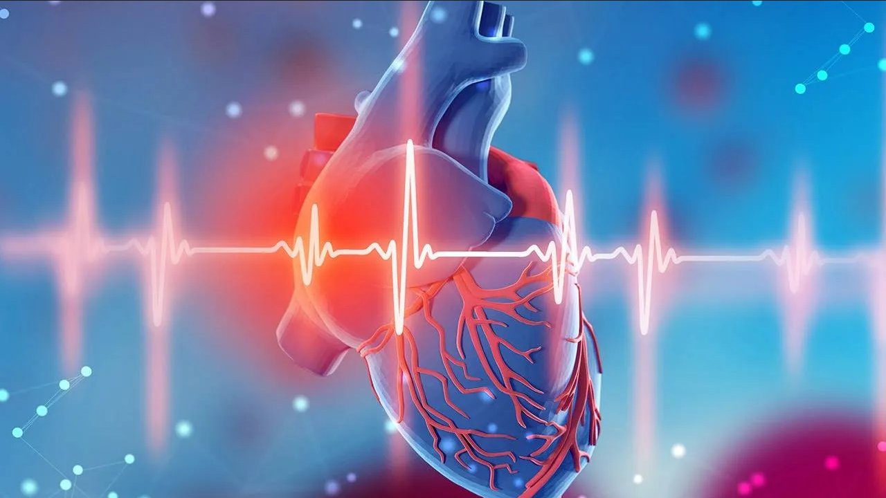 Japón advierte sobre posible nueva pandemia en 2024; afectaría al corazón
