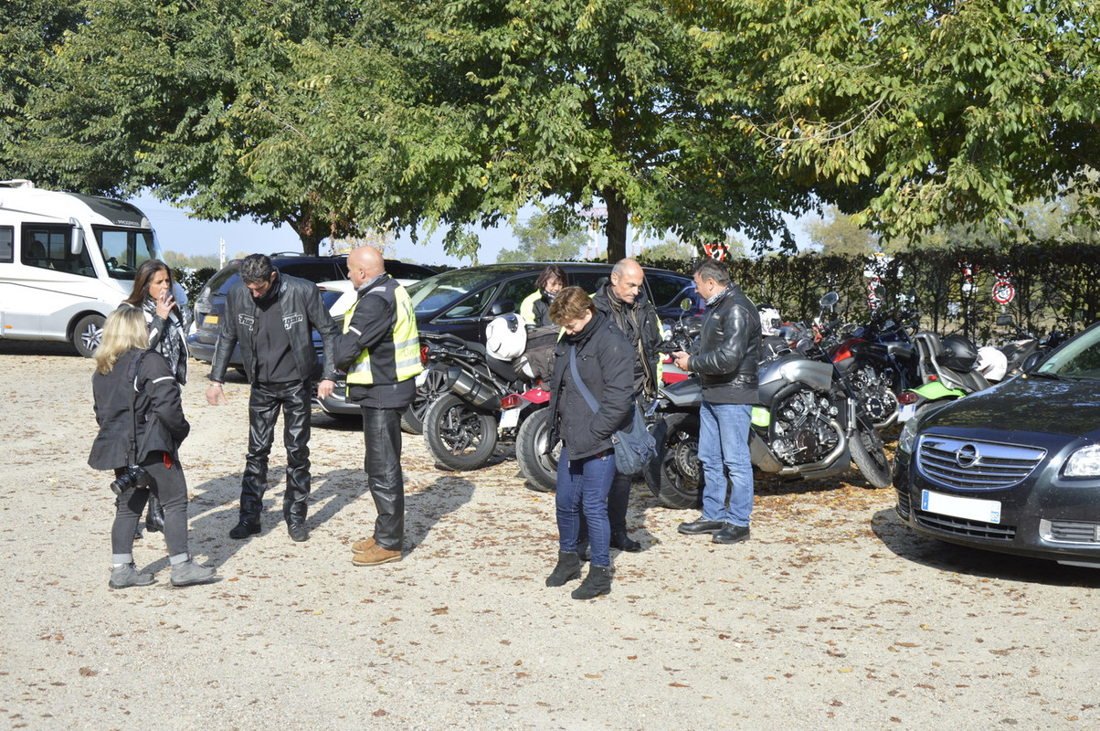 Saumur et son cadre noir R-DSC6480