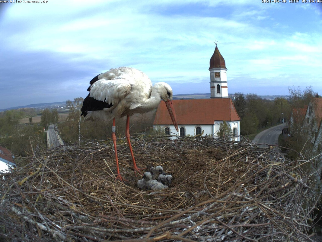 2021-04-30-0906-5Kü