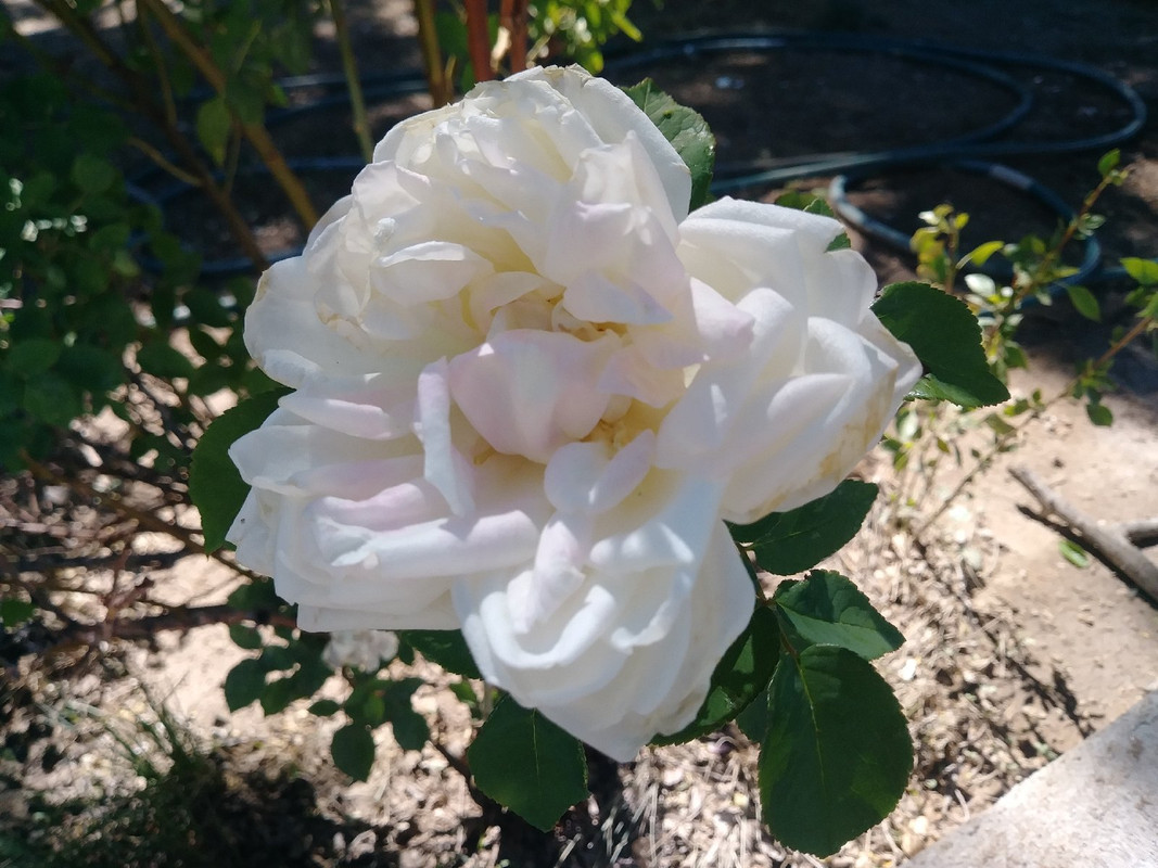 20180528_094304