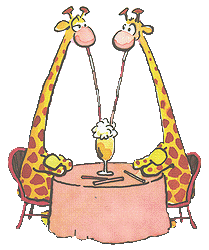 Giraffes_Soda