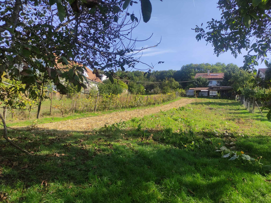 380046023_264426199351603_8020526392255870611_n (1)