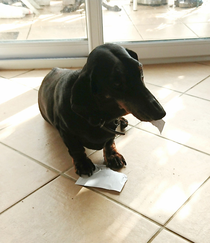 [Image: 20230314-151232.jpg]