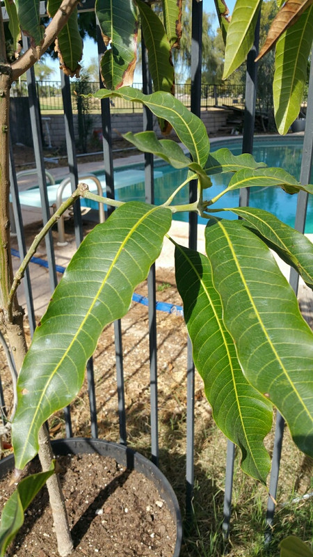 20150212_114114_resized