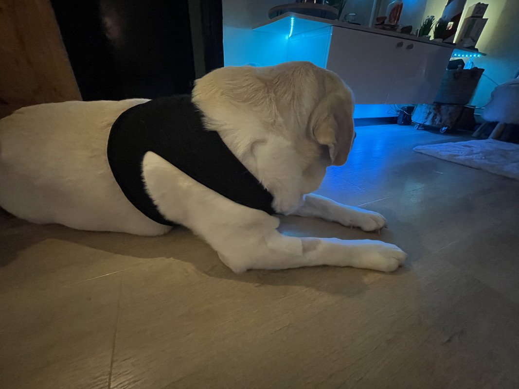 718C9CEC-454E-4667-B771-FC6BA9D9A7C2